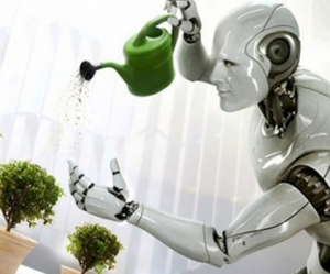 Robots